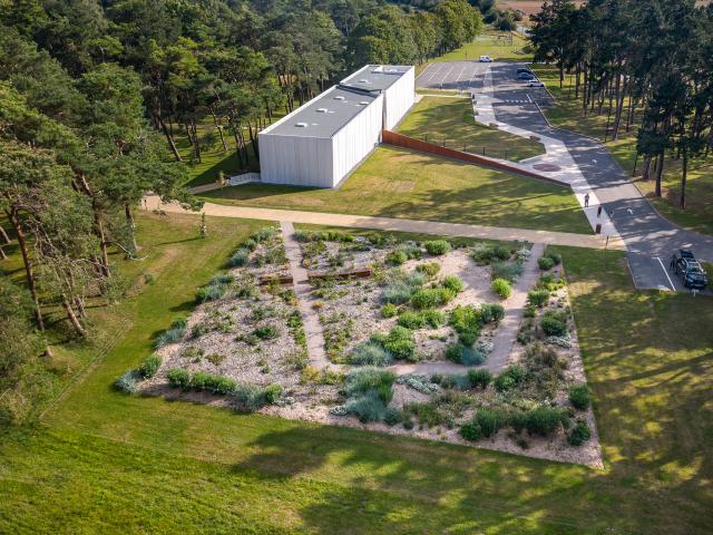 Vimy _ Jardin de la Paix © Art & Jardins Hauts de France - Yann Monel