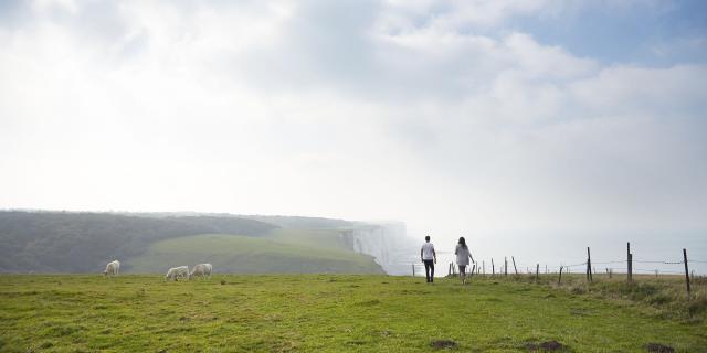 Bois de Cise, vue du Haut des falaises © CRTC Hauts-de-France - Guillaume Crochez