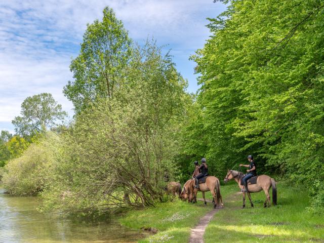 Compiègne balade à cheval sur Henson © Xavier Renoux - OT de Compiègne